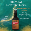 antygrzybica